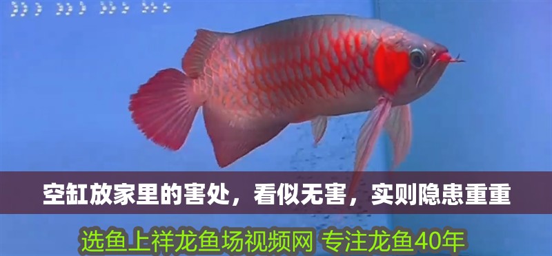 空缸放家里的害處，看似無害，實則隱患重重