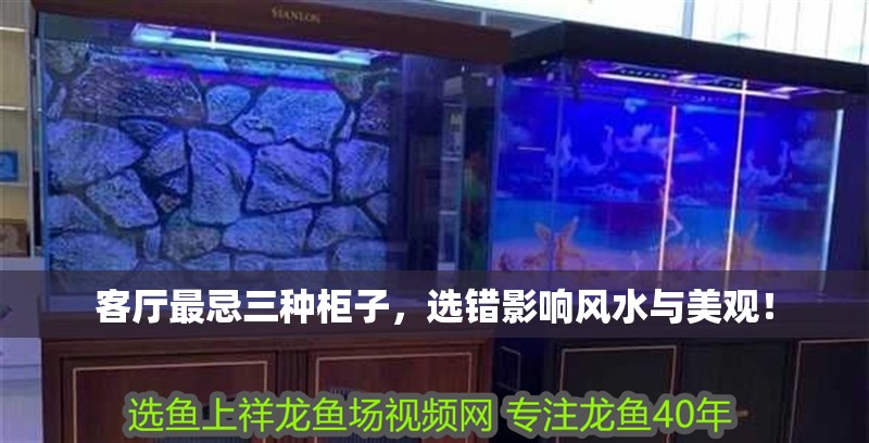 客廳最忌三種柜子，選錯影響風水與美觀！ 客廳最忌三種柜子，選錯影響風水與美觀！ 龍魚百科 第1張