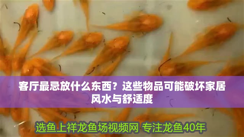 客廳最忌放什么東西？這些物品可能破壞家居風(fēng)水與舒適度 客廳最忌放什么東西？這些物品可能破壞家居風(fēng)水與舒適度 龍魚(yú)百科 第1張