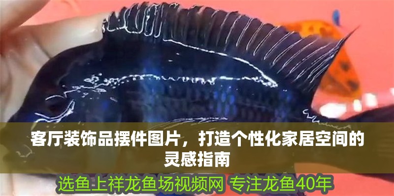 客廳裝飾品擺件圖片，打造個性化家居空間的靈感指南