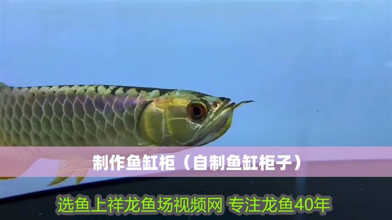 制作魚缸柜（自制魚缸柜子）