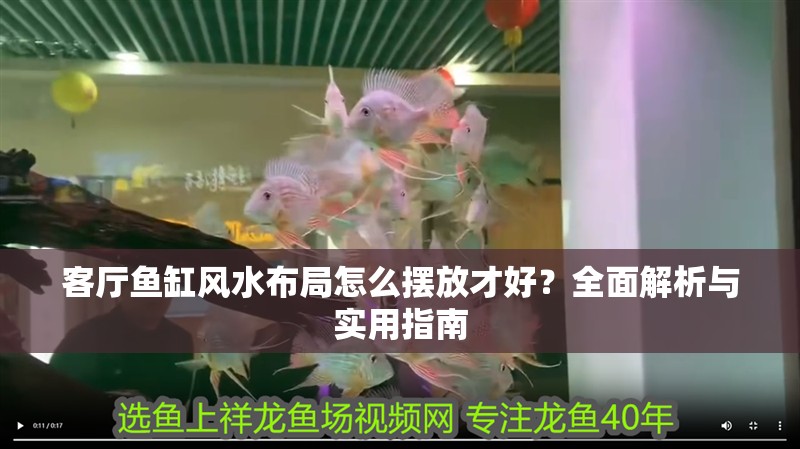 客廳魚缸風水布局怎么擺放才好？全面解析與實用指南