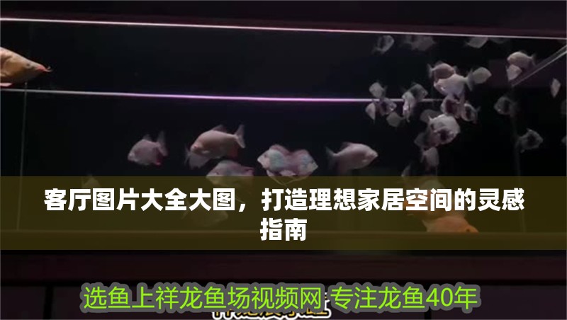 客廳圖片大全大圖，打造理想家居空間的靈感指南