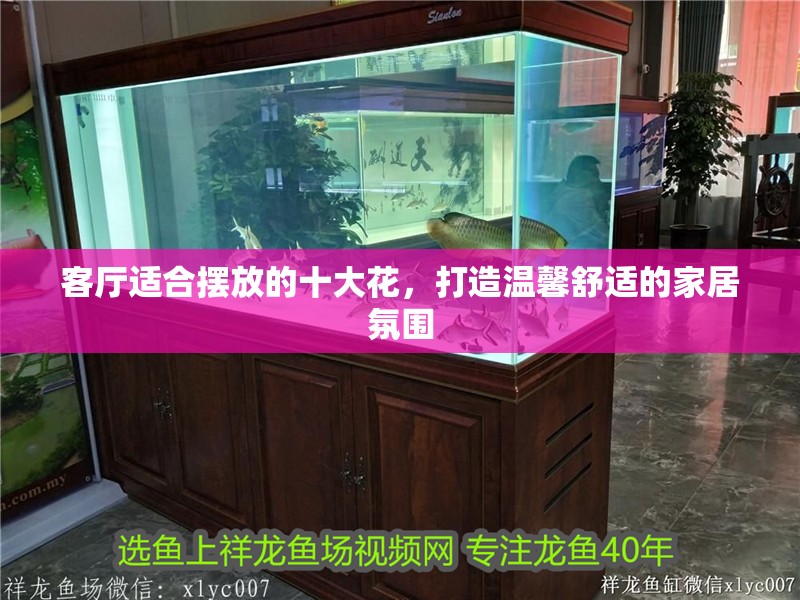 客廳適合擺放的十大花,打造溫馨舒適的家居氛圍 龍魚百科 第1張 客廳適合擺放的十大花,打造溫馨舒適的家居氛圍 客廳適合擺放的十大花,打造溫馨舒適的家居氛圍 龍魚百科 第1張