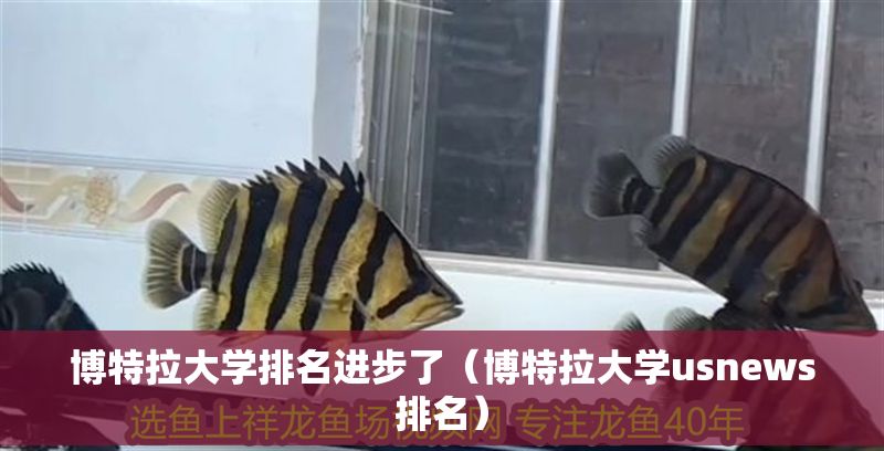 博特拉大學排名進步了（博特拉大學usnews排名）