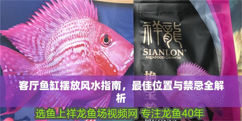 客廳魚缸擺放風水指南，最佳位置與禁忌全解析