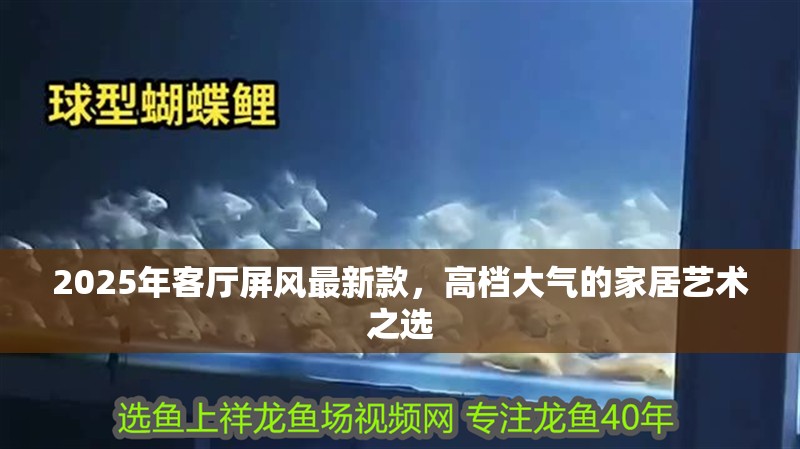 2025年客廳屏風(fēng)最新款，高檔大氣的家居藝術(shù)之選