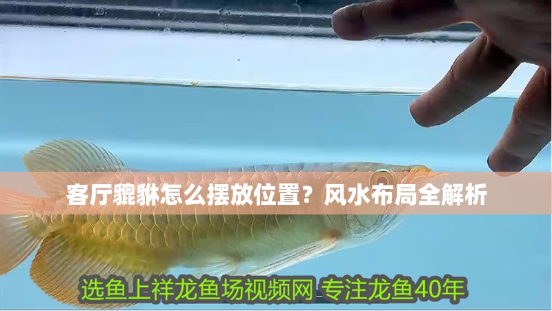 客廳貔貅怎么擺放位置？風水布局全解析
