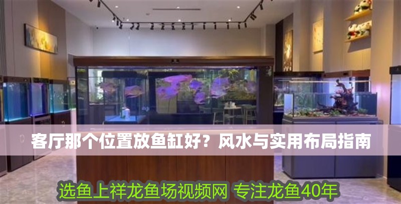 客廳那個位置放魚缸好？風水與實用布局指南