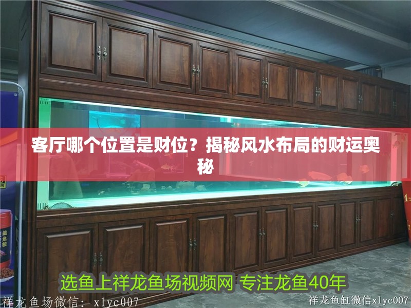 客廳哪個位置是財位？揭秘風水布局的財運奧秘 客廳哪個位置是財位？揭秘風水布局的財運奧秘 龍魚百科 第1張