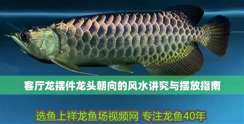 客廳龍擺件龍頭朝向的風水講究與擺放指南