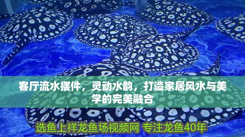 客廳流水擺件，靈動水韻，打造家居風水與美學的完美融合 客廳流水擺件，靈動水韻，打造家居風水與美學的完美融合 龍魚百科 第1張