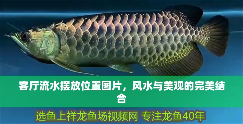 客廳流水擺放位置圖片，風水與美觀的完美結合