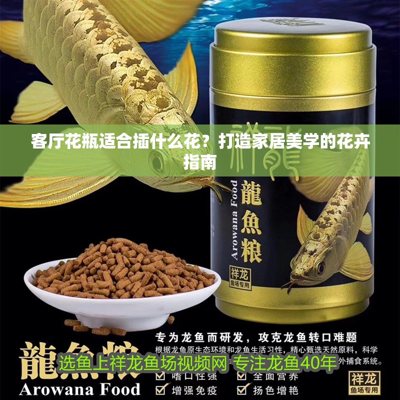 客廳花瓶適合插什么花？打造家居美學(xué)的花卉指南