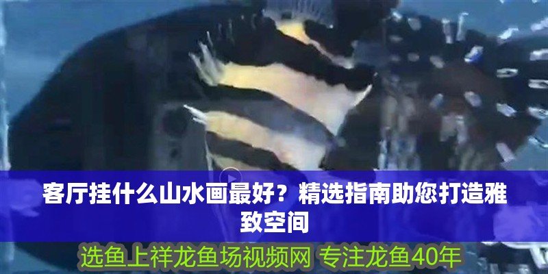客廳掛什么山水畫最好？精選指南助您打造雅致空間 客廳掛什么山水畫最好？精選指南助您打造雅致空間 龍魚百科 第1張