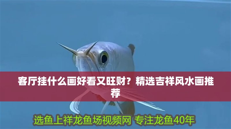 客廳掛什么畫好看又旺財？精選吉祥風水畫推薦