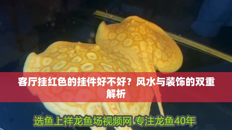 客廳掛紅色的掛件好不好？風水與裝飾的雙重解析