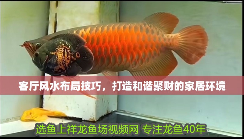 客廳風(fēng)水布局技巧，打造和諧聚財(cái)?shù)募揖迎h(huán)境