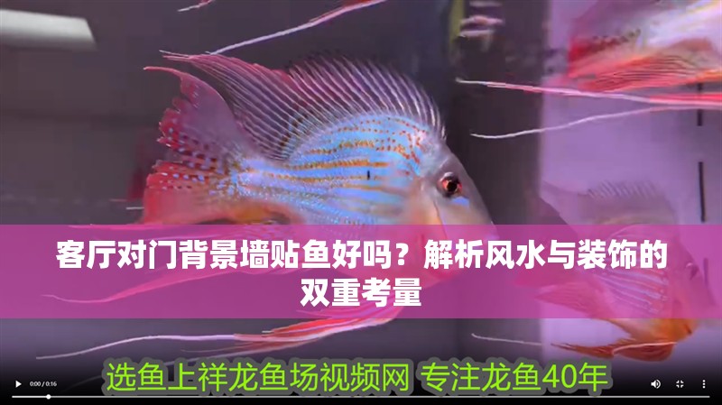 客廳對(duì)門背景墻貼魚(yú)好嗎？解析風(fēng)水與裝飾的雙重考量 客廳對(duì)門背景墻貼魚(yú)好嗎？解析風(fēng)水與裝飾的雙重考量 龍魚(yú)百科 第1張