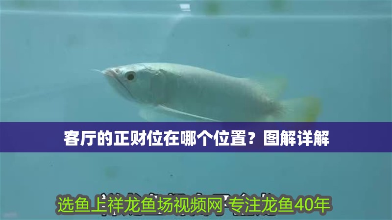客廳的正財位在哪個位置？圖解詳解 客廳的正財位在哪個位置？圖解詳解 龍魚百科 第1張