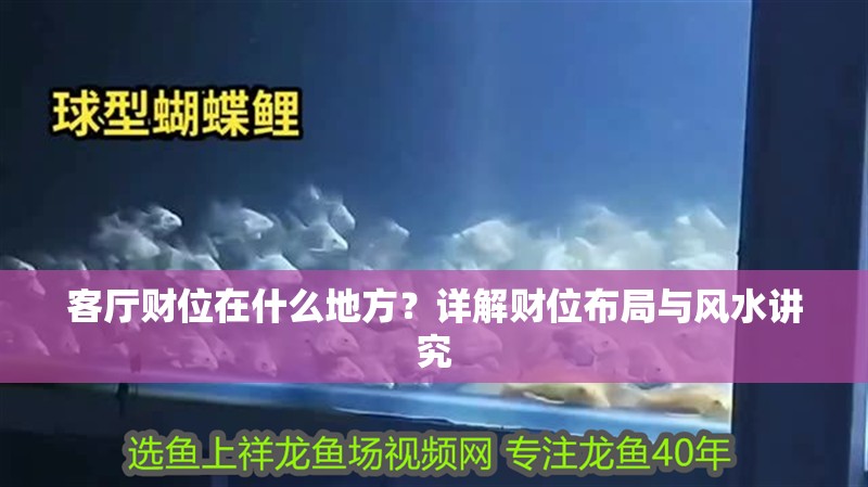 客廳財(cái)位在什么地方？詳解財(cái)位布局與風(fēng)水講究 客廳財(cái)位在什么地方？詳解財(cái)位布局與風(fēng)水講究 龍魚百科 第1張