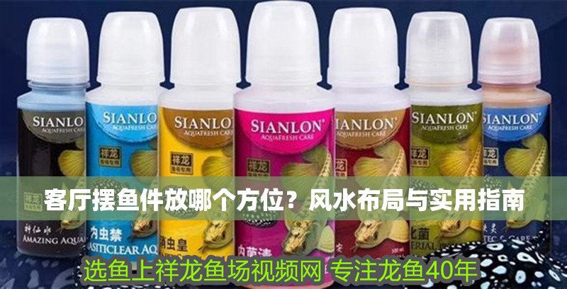 客廳擺魚件放哪個方位？風水布局與實用指南