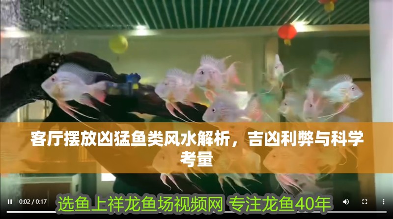 客廳擺放兇猛魚類風水解析，吉兇利弊與科學考量