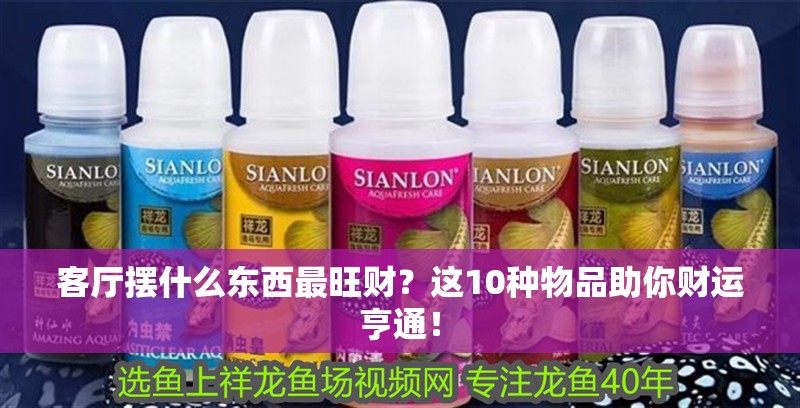 客廳擺什么東西最旺財？這10種物品助你財運亨通！