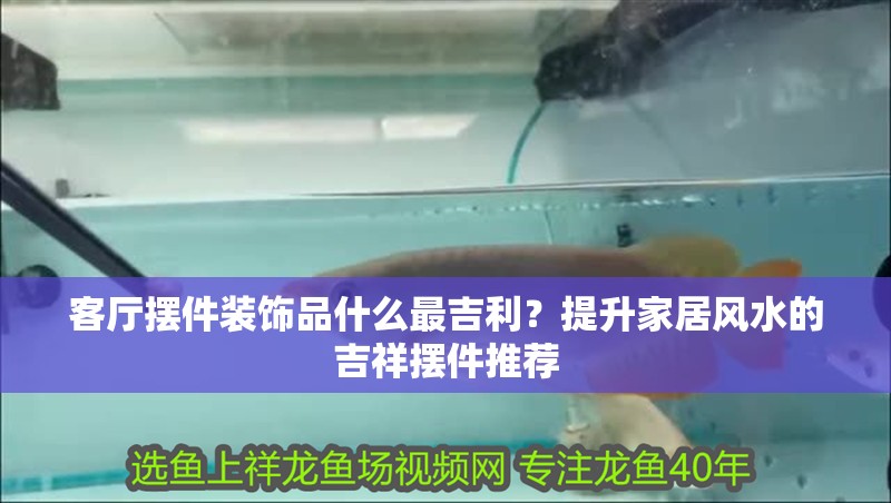 客廳擺件裝飾品什么最吉利?提升家居風水的吉祥擺件推薦 龍魚百科 第1張 客廳擺件裝飾品什么最吉利?提升家居風水的吉祥擺件推薦 客廳擺件裝飾品什么最吉利?提升家居風水的吉祥擺件推薦 龍魚百科 第1張