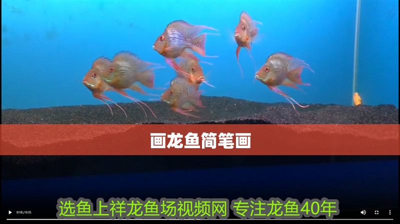 畫龍魚簡筆畫