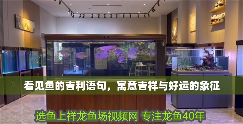 看見(jiàn)魚(yú)的吉利語(yǔ)句，寓意吉祥與好運(yùn)的象征