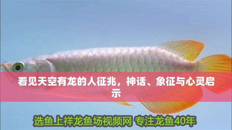 看見(jiàn)天空有龍的人征兆，神話、象征與心靈啟示