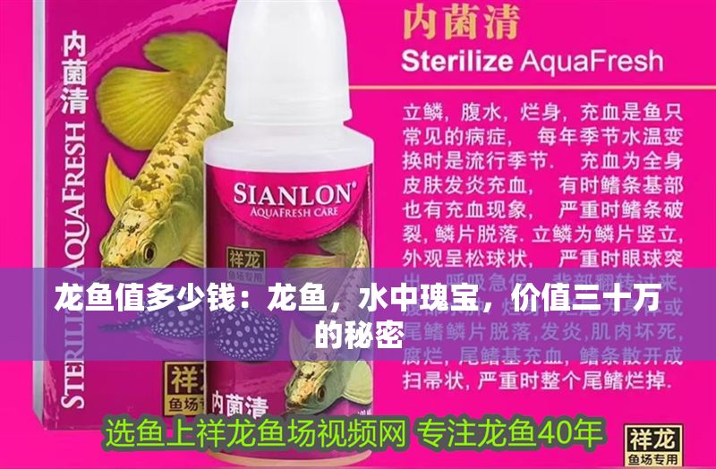 龍魚值多少錢：龍魚，水中瑰寶，價值三十萬的秘密