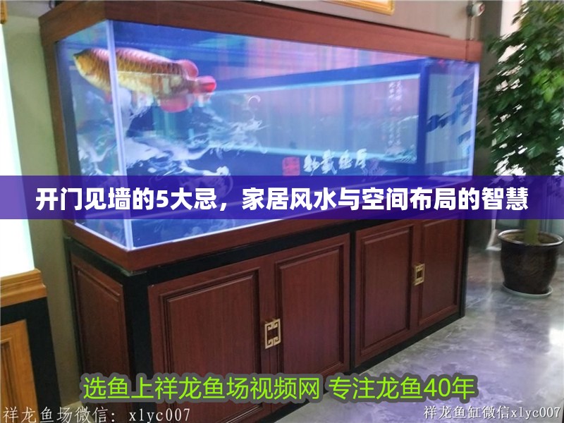 開門見墻的5大忌，家居風水與空間布局的智慧