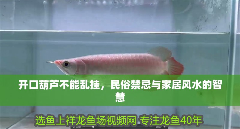 開口葫蘆不能亂掛，民俗禁忌與家居風水的智慧