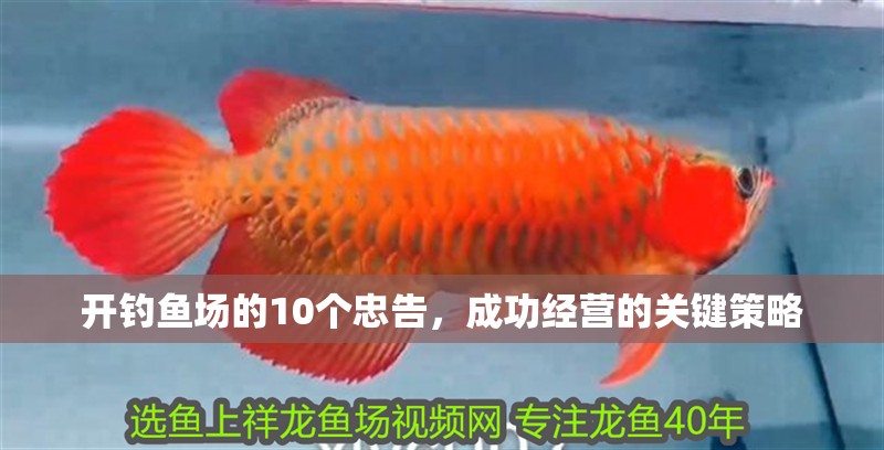 開釣魚場的10個忠告，成功經營的關鍵策略 開釣魚場的10個忠告，成功經營的關鍵策略 龍魚百科 第1張