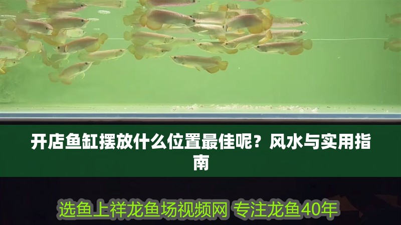 開店魚缸擺放什么位置最佳呢？風水與實用指南