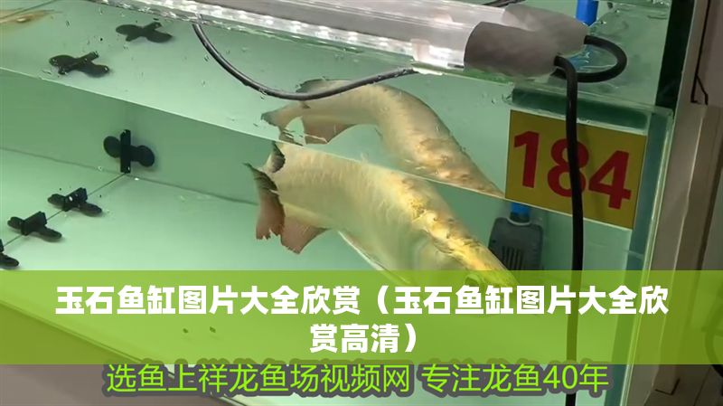 玉石魚缸圖片大全欣賞（玉石魚缸圖片大全欣賞高清）