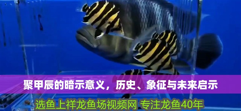 聚甲辰的暗示意義，歷史、象征與未來啟示