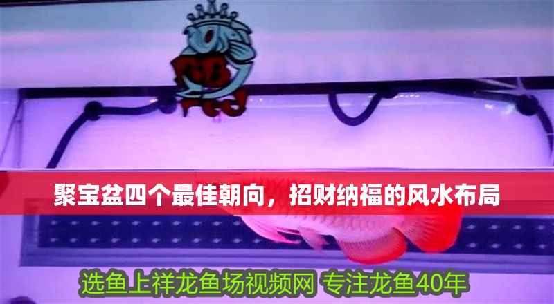 聚寶盆四個最佳朝向，招財納福的風水布局