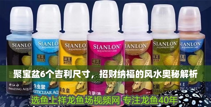 聚寶盆6個吉利尺寸,招財納福的風水奧秘解析 龍魚百科 第1張 聚寶盆6個吉利尺寸,招財納福的風水奧秘解析 聚寶盆6個吉利尺寸,招財納福的風水奧秘解析 龍魚百科 第1張