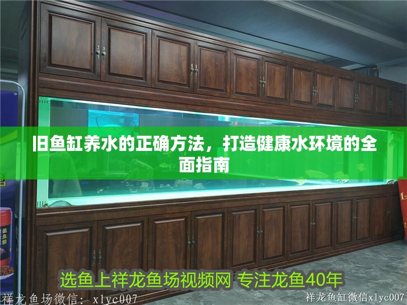 舊魚缸養水的正確方法，打造健康水環境的全面指南