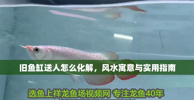 舊魚缸送人怎么化解，風水寓意與實用指南
