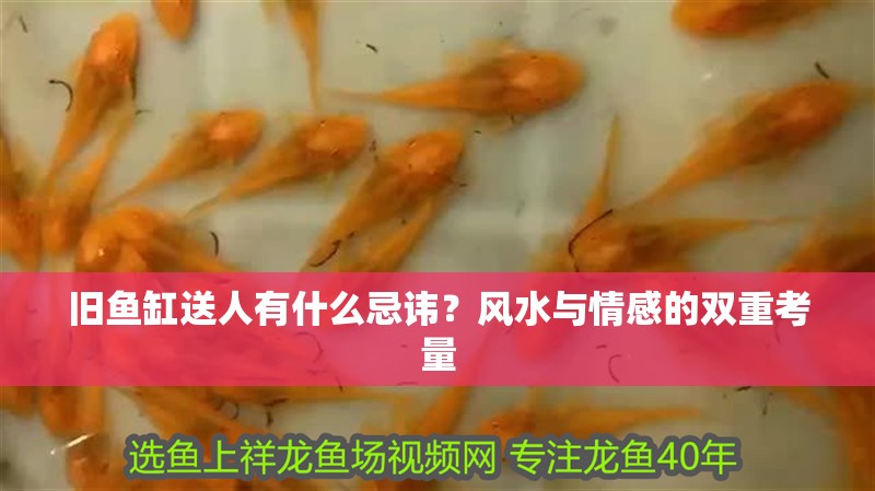 舊魚缸送人有什么忌諱?風水與情感的雙重考量 龍魚百科 第1張 舊魚缸送人有什么忌諱?風水與情感的雙重考量 舊魚缸送人有什么忌諱?風水與情感的雙重考量 龍魚百科 第1張