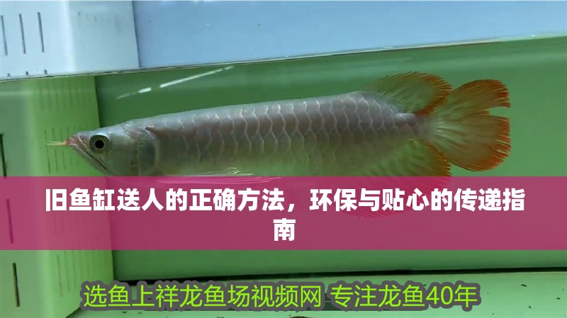 舊魚缸送人的正確方法，環保與貼心的傳遞指南 舊魚缸送人的正確方法，環保與貼心的傳遞指南 龍魚百科 第1張