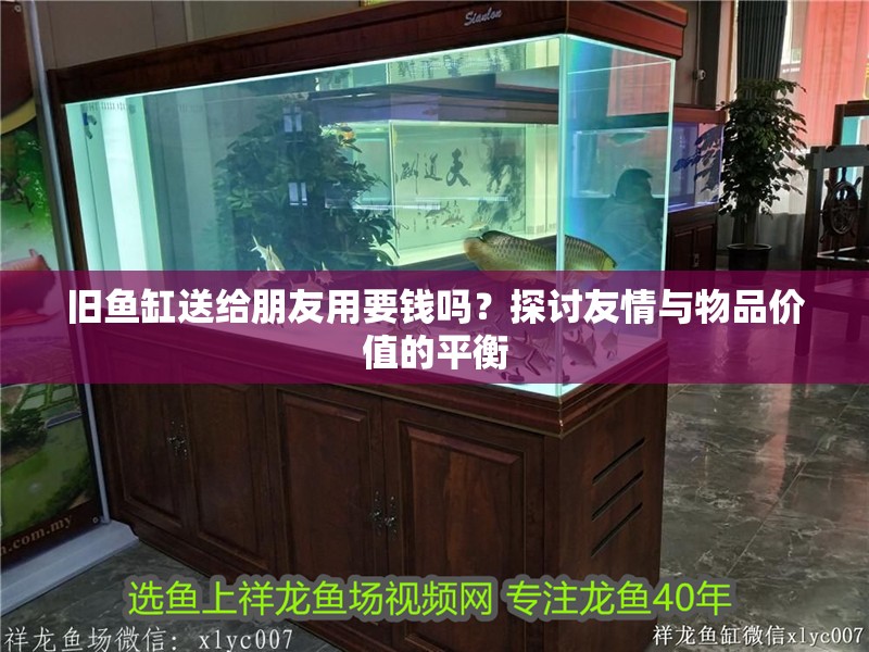 舊魚缸送給朋友用要錢嗎？探討友情與物品價值的平衡