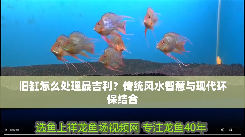 舊缸怎么處理最吉利？傳統(tǒng)風(fēng)水智慧與現(xiàn)代環(huán)保結(jié)合