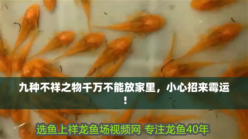 九種不祥之物千萬不能放家里，小心招來霉運！