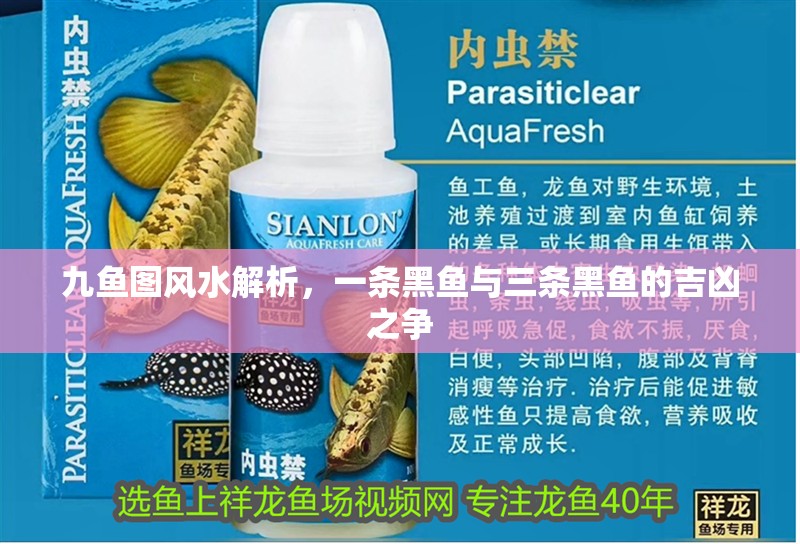 九魚圖風水解析，一條黑魚與三條黑魚的吉兇之爭