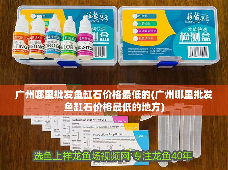廣州哪里批發魚缸石價格最低的(廣州哪里批發魚缸石價格最低的地方) 廣州哪里批發魚缸石價格最低的(廣州哪里批發魚缸石價格最低的地方) 龍魚百科 第1張